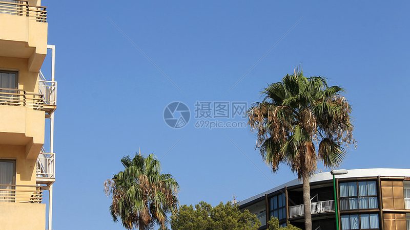 冬令营营地教练资质要求